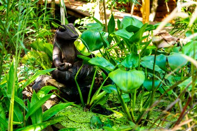 © Lara Balais - Parc national de la Guadeloupe