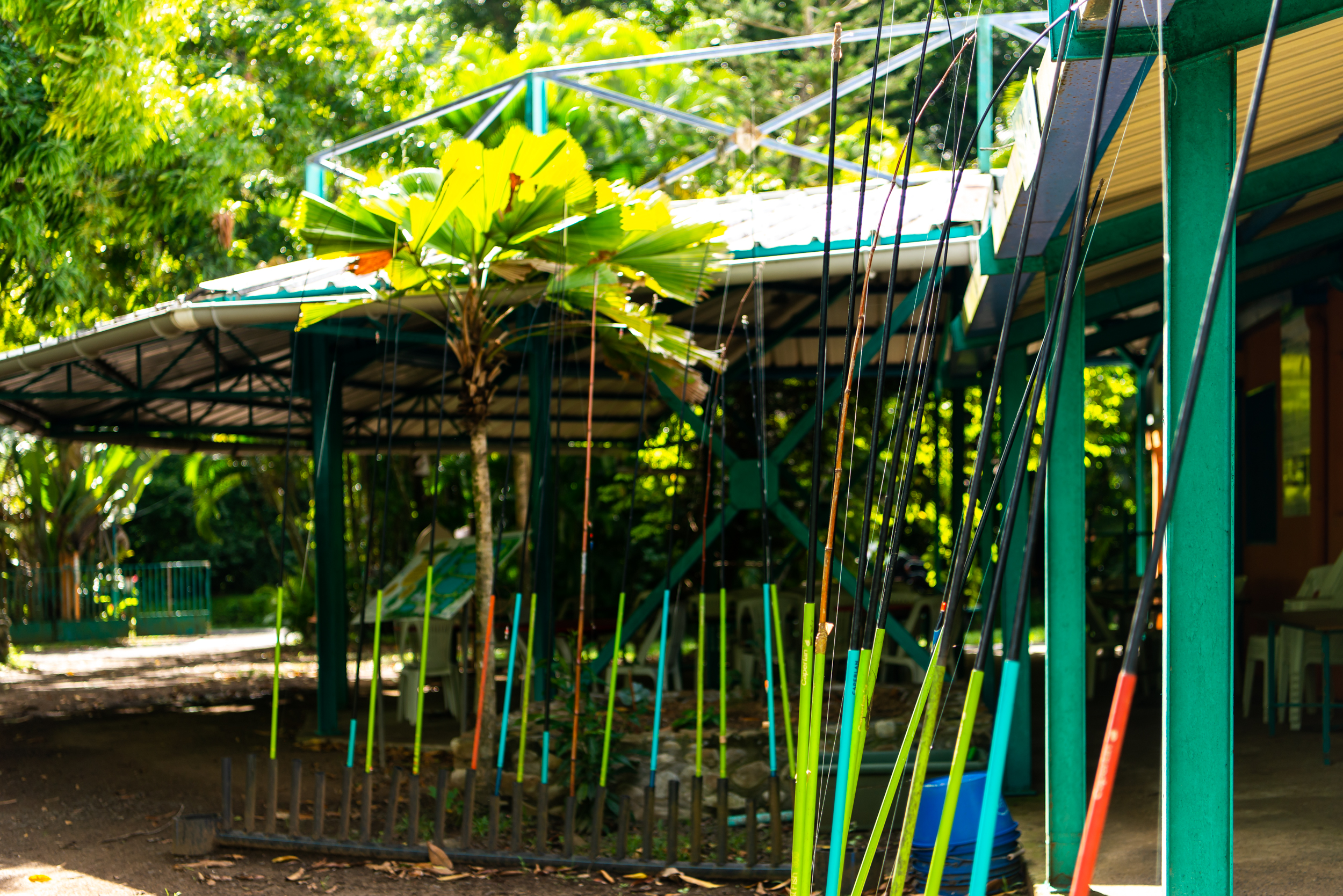 © Lara Balais - Parc national de la Guadeloupe