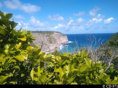 Vue sur la Grosse Pointe depuis l'Anse Bois d'Inde