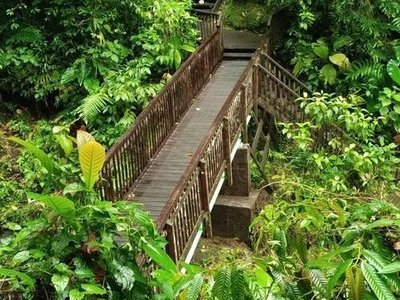 Passerelle sur la Rivière du Grand Carbet