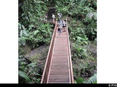 Passerelle sur la Rivière du Grand Carbet