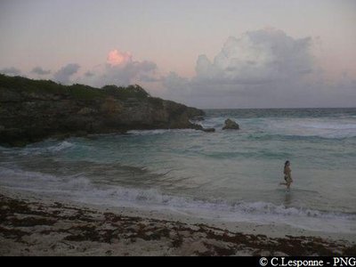 plage des rouleaux