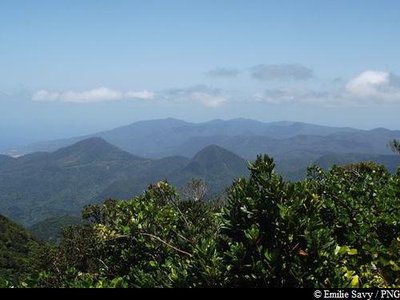 Vue depuis le Piton de Bouillante