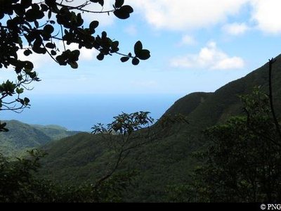 vue sur les crêtes vers le nord Basse-Terre