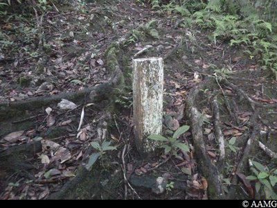 Borne forêt départementale