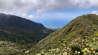 vue depuis les crêtes