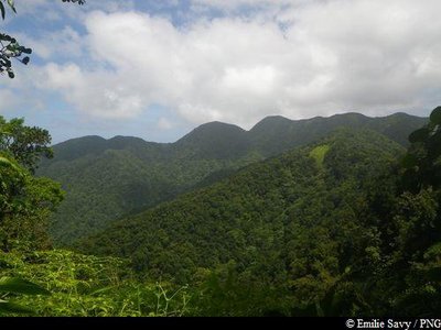 vue sur la Vallée de Beaugendre