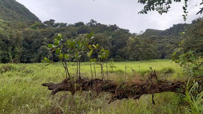 Etang Madère (sec)