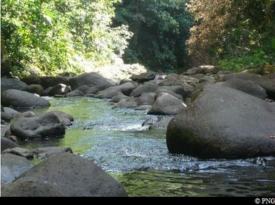 La Rivière Saint-Louis, en aval de la chute