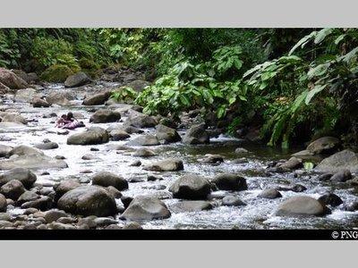 le long de la rivière