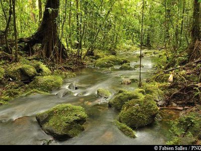 ravine traversant la trace