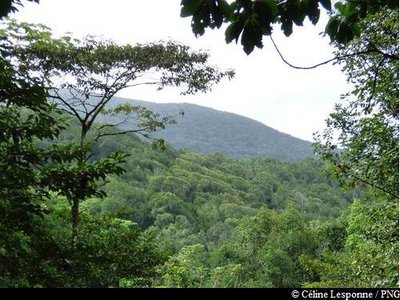 point de vue vers Grosse Montagne