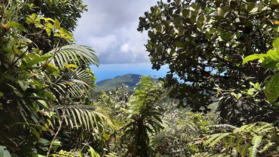 point de vue (ouest) vers la Mer des Caraïbes