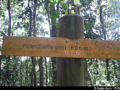 Le Piton Baillargent