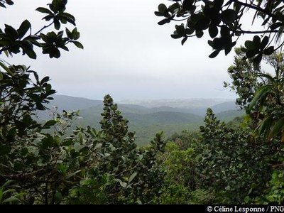 point de vue vers Deshaies