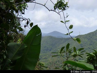 Vue sur le Morne à Louis