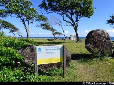 site de la Pointe Allègre