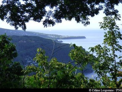 point de vue sur Deshaies