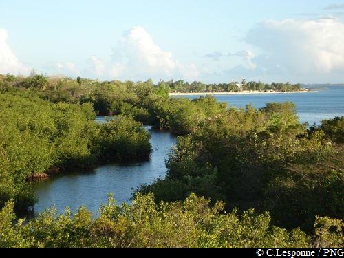 Pointe des Mangles, vue sur le Grand Cul-de-Sac Marin – Marais et sentier de la mangrove de Port-Louis