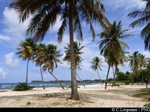 Plage de la Chapelle, Anse-Bertrand – Chemins de mangrove, Anse-Bertrand → Port-Louis