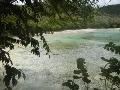 Vue sur la plage de Moustique