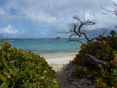 Vue sur l'Eperon depuis la plage de l'Anse à la Gourde