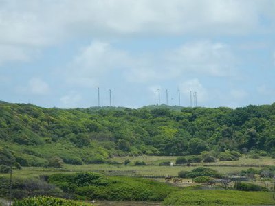 Vue sur les éoliennes