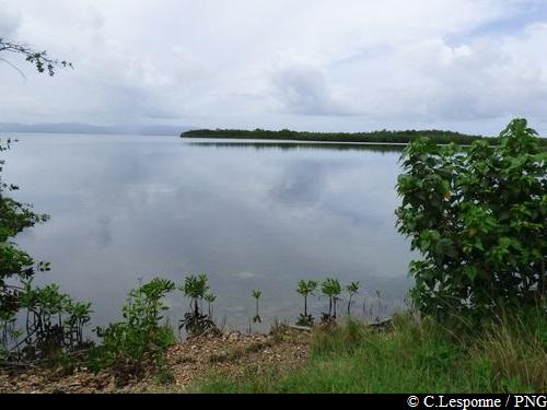 Vue sur le Grand Cul-de-Sac Marin en sortie de mangrove – Sentier de Beautiran