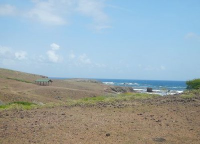 Carbet de la Pointe Mancenillier