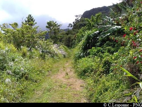 chemin au départ