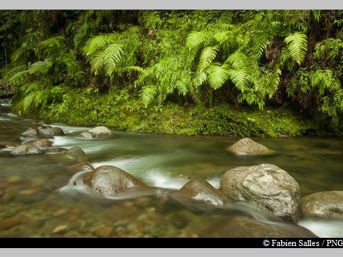 vue sur la rivière ...