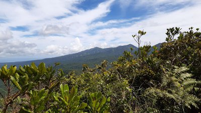 Point de vue (vers le sud), à quelques mètres du sommet