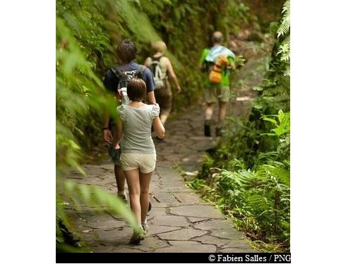 en chemin vers les Chutes du Carbet ...