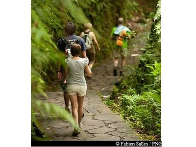 en chemin vers les Chutes du Carbet ...