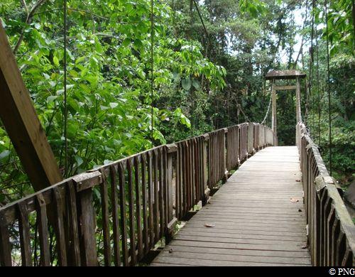 passerelle de la Maison de la Forêt