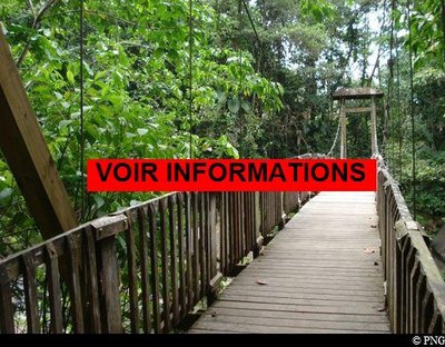 passerelle de la Maison de la Forêt