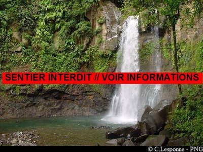 3ème Chute du Carbet (accès interdit au pied de la cascade)