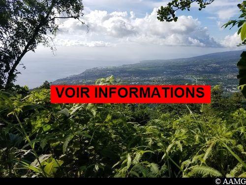 Point de vue