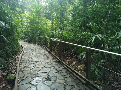 en chemin pour la Cascade aux Ecrevisses