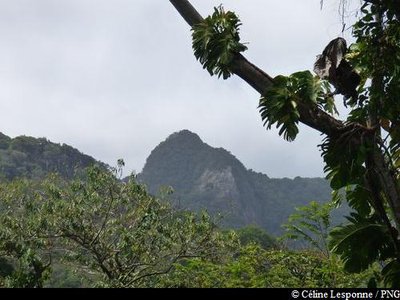 vue sur La Couronne