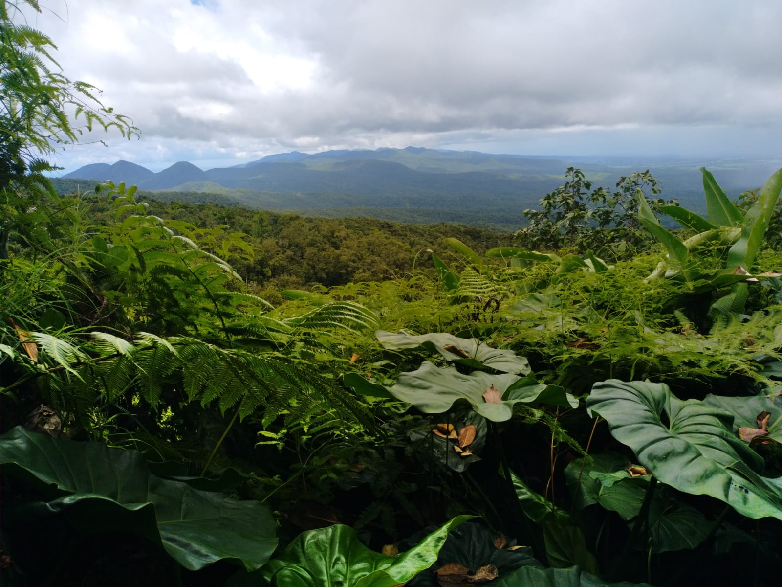 point de vue vers les Mamelles et le nord Basse-Terre